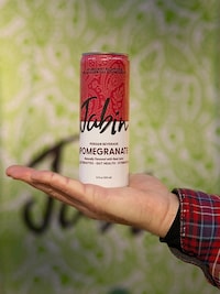Canned Electrolyte Refreshers Image 2