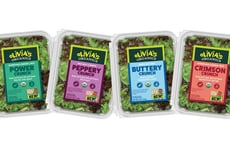 Flavor-Driven Salad Ranges