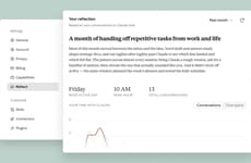 AI Usage Reflection Features