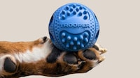 Glowing Indestructible Dog Balls Image 2