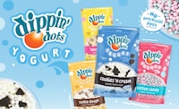 Free-From Frozen Yogurt Treats Image 1