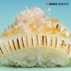 Yuzu-Forward Sushi Menus Image 3