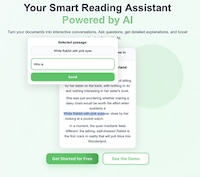 Interactive AI Reading Platforms