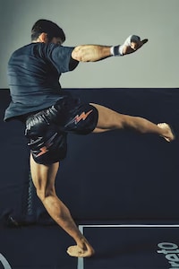 Combat Sports Capsules Image 2