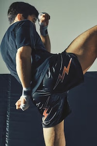 Combat Sports Capsules Image 3