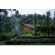 Site-Responsive Private Residential Pavilions Image 2