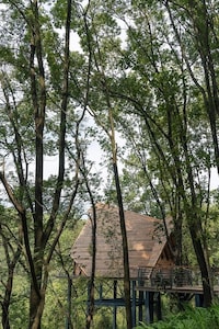 Revitalized Forest Parks Image 3
