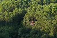 Revitalized Forest Parks Image 4