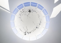 Light-Filled Civic Hubs Image 4