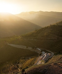 Breath-Taking Winery Designs Image 4