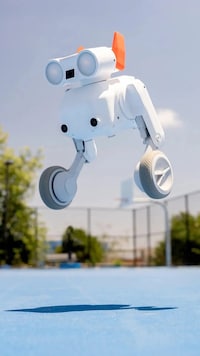 All-Terrain Camera Robots Image 2