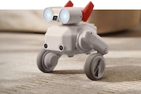 All-Terrain Camera Robots Image 4