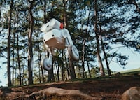 All-Terrain Camera Robots Image 6