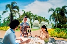 Dedicated Hospitality Services