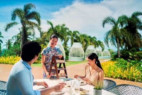 Dedicated Hospitality Services