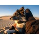 Satellite Pet Trackers Image 1