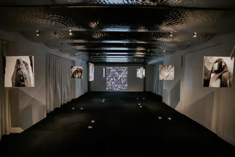Contemporary Art Exhibitions