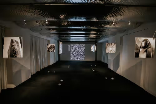 Contemporary Art Exhibitions