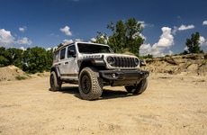 Tribute-Paying Auto Designs