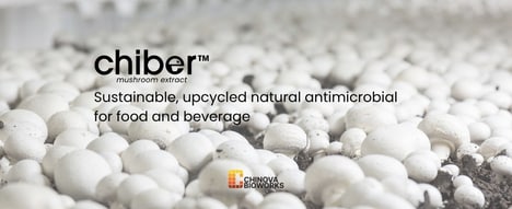 Mushroom-Based Food Preservation Solutions