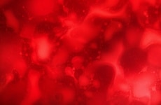 Blood Biomarker Analysis Features
