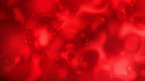 Blood Biomarker Analysis Features