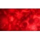 Blood Biomarker Analysis Features Image 1
