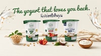 Gut-Supporting Plant-Based Yogurts Image 2