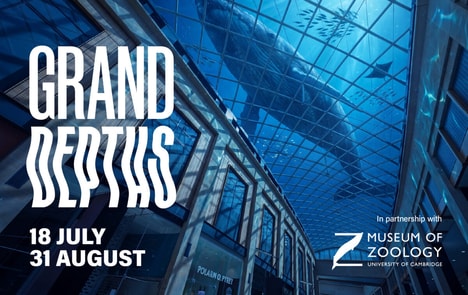 Immersive Oceanic Mall Installations
