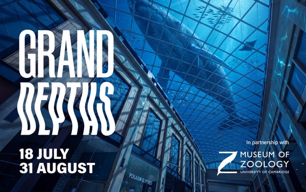 Immersive Oceanic Mall Installations
