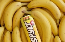 Banana-Flavored Protein Milks