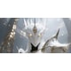 AI Video Generators Image 1