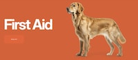 Over-The-Counter Pet Health Solutions