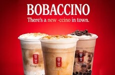 Cafe-Style Boba Beverages