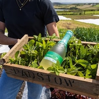 Mint-Citrus Gin Spirits