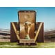 Regal World Cup Trunks Image 1
