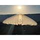 Inflatable Surveillance Drones Image 2