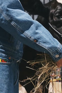 Workwear Apparel Collection Image 3
