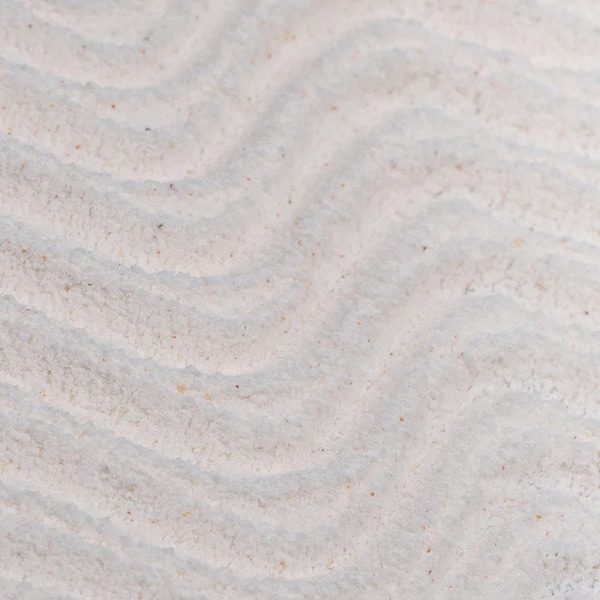 Powder-to-Foam Face Washes