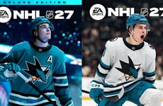 Authentic Arena Hockey Games