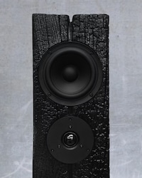 Charred Oak Speakers Image 2