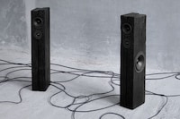 Charred Oak Speakers Image 3