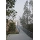 Cliffside Bush Retreats Image 1
