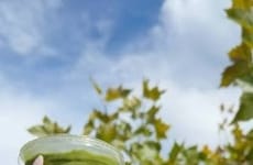 Salted Caramel Matcha Drinks