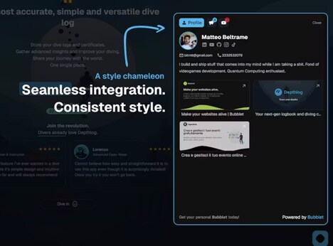 Website Profile Widgets