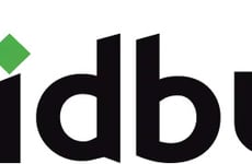 Competitive Dealer Bidding Marketplaces
