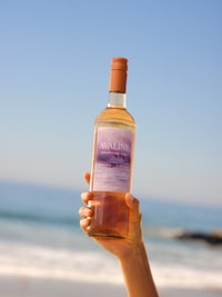 Experiential Wine Campaigns