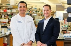 Bioelectronic Medicine Studies