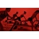 Modern Reformer-Infored Fitness Experiences Image 1