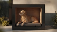Architecturally-Influenced Dog Houses